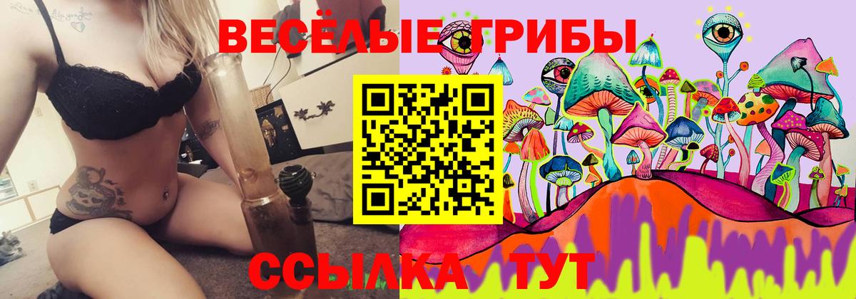 Галлюциногенные грибы мицелий Камышин